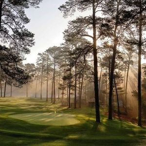 Meet your Posher, Chad